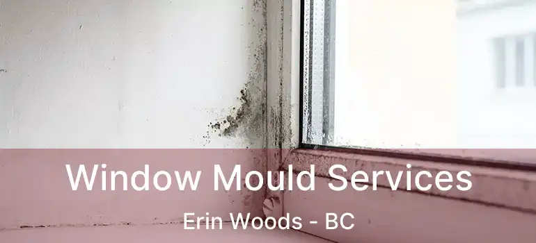  Window Mould Services Erin Woods - BC