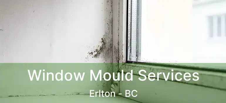  Window Mould Services Erlton - BC