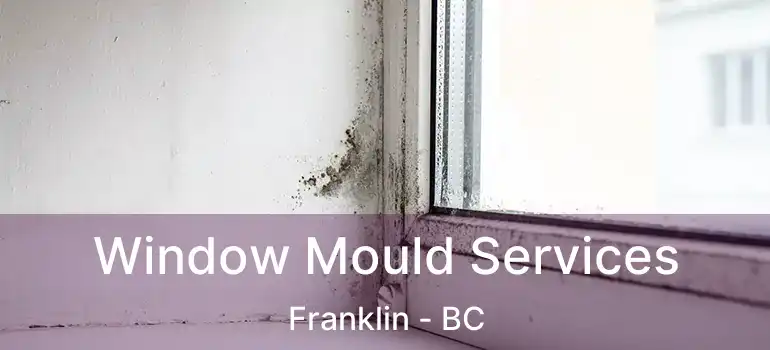  Window Mould Services Franklin - BC