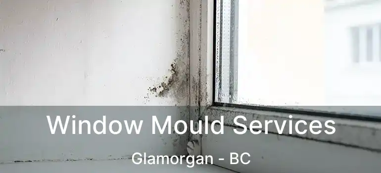  Window Mould Services Glamorgan - BC