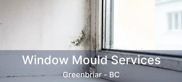  Window Mould Services Greenbriar - BC