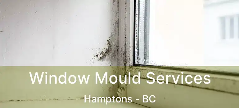  Window Mould Services Hamptons - BC