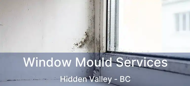  Window Mould Services Hidden Valley - BC