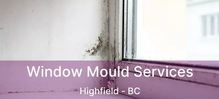  Window Mould Services Highfield - BC
