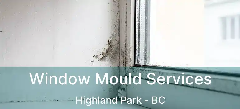  Window Mould Services Highland Park - BC