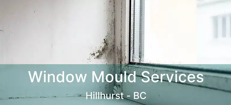  Window Mould Services Hillhurst - BC