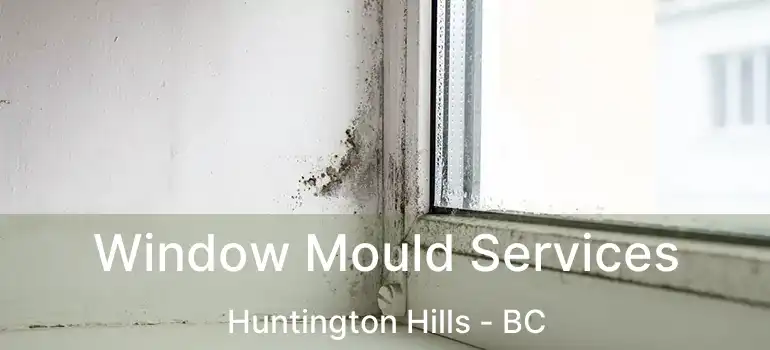 Window Mould Services Huntington Hills - BC