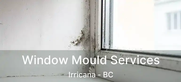  Window Mould Services Irricana - BC