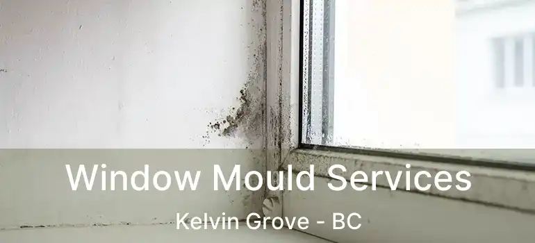  Window Mould Services Kelvin Grove - BC