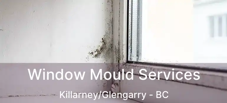  Window Mould Services Killarney/Glengarry - BC