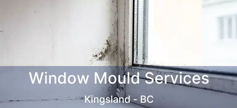  Window Mould Services Kingsland - BC