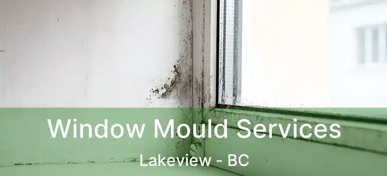  Window Mould Services Lakeview - BC