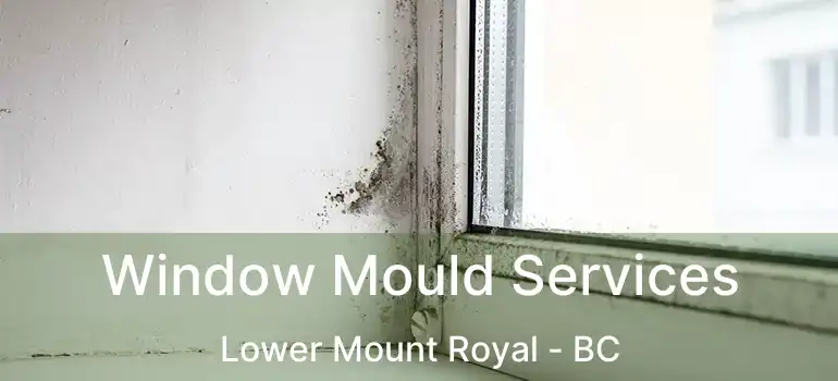  Window Mould Services Lower Mount Royal - BC