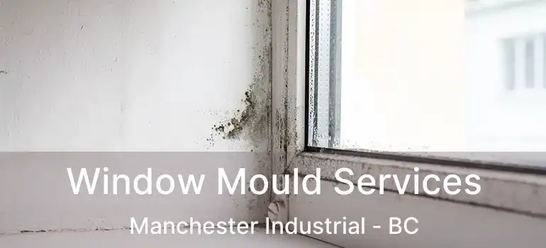  Window Mould Services Manchester Industrial - BC