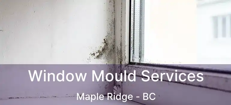  Window Mould Services Maple Ridge - BC