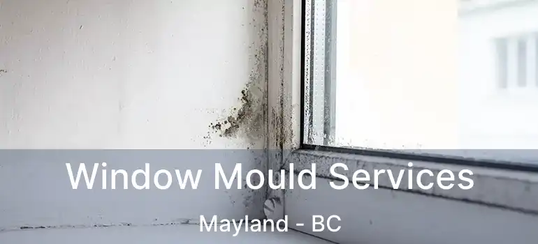  Window Mould Services Mayland - BC