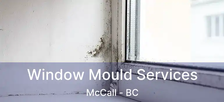  Window Mould Services McCall - BC
