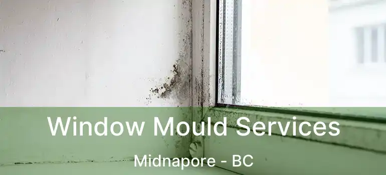  Window Mould Services Midnapore - BC