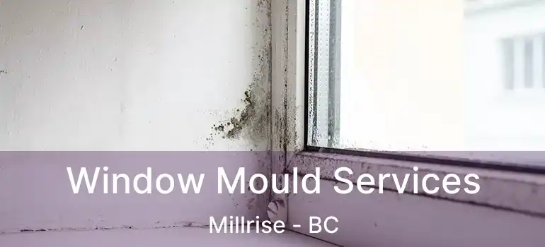 Window Mould Services Millrise - BC