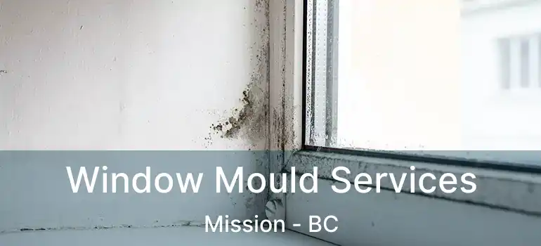  Window Mould Services Mission - BC