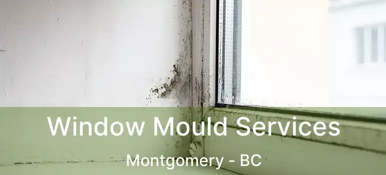  Window Mould Services Montgomery - BC