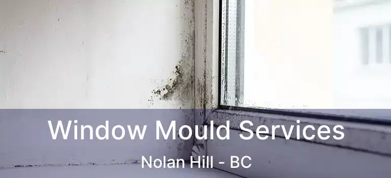  Window Mould Services Nolan Hill - BC
