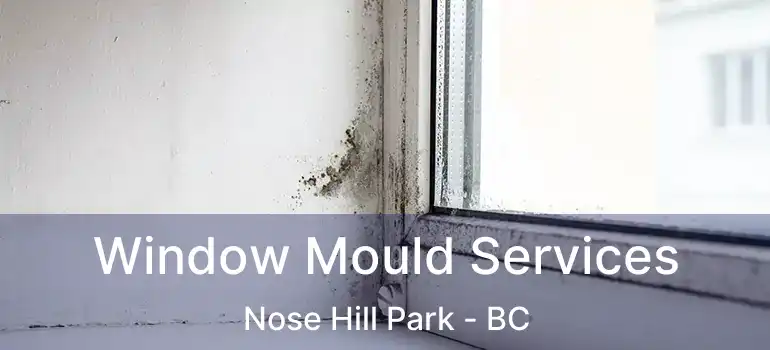  Window Mould Services Nose Hill Park - BC