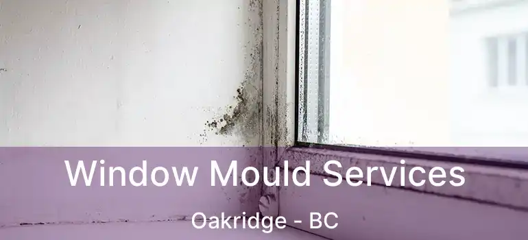  Window Mould Services Oakridge - BC