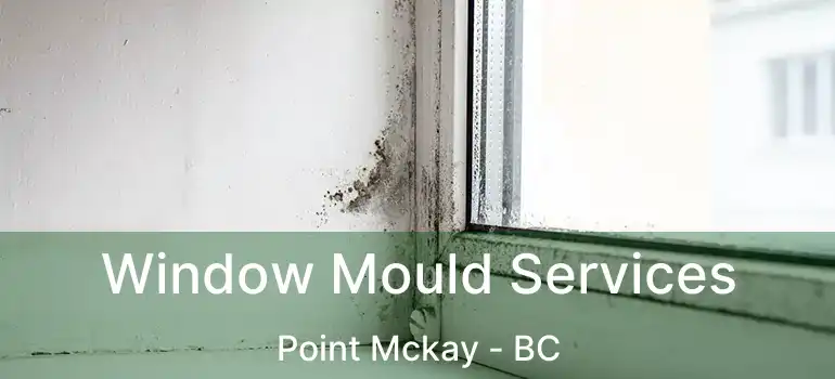  Window Mould Services Point Mckay - BC