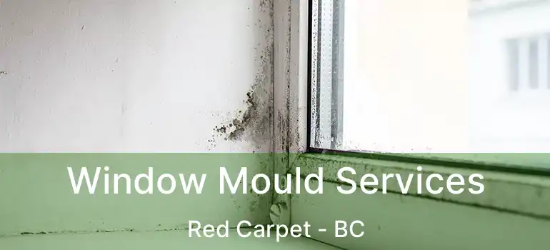  Window Mould Services Red Carpet - BC