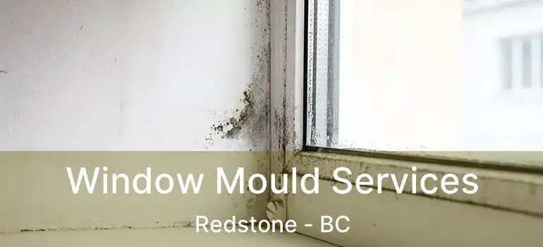  Window Mould Services Redstone - BC