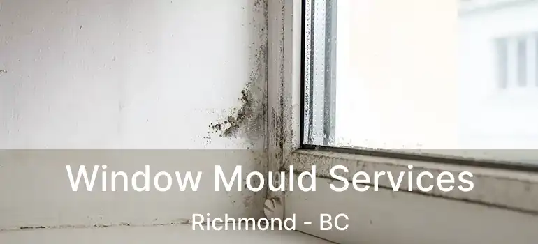  Window Mould Services Richmond - BC