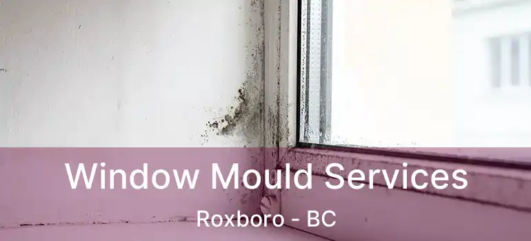  Window Mould Services Roxboro - BC