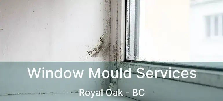  Window Mould Services Royal Oak - BC
