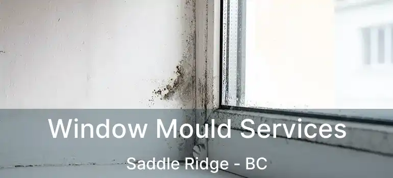  Window Mould Services Saddle Ridge - BC