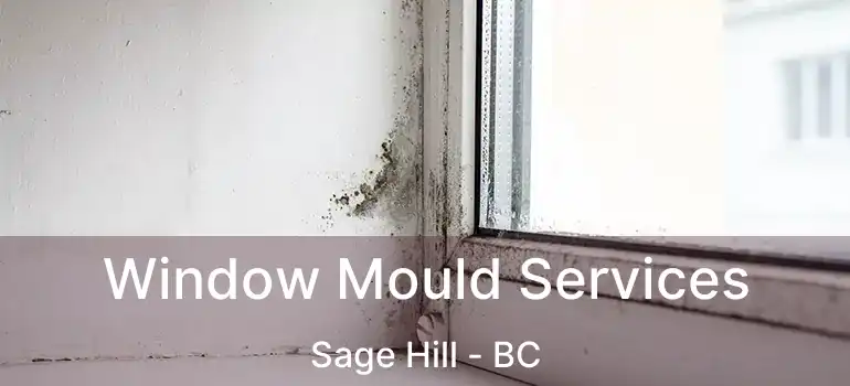  Window Mould Services Sage Hill - BC