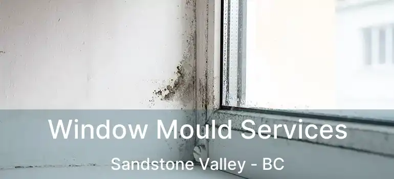  Window Mould Services Sandstone Valley - BC