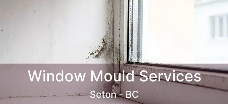  Window Mould Services Seton - BC