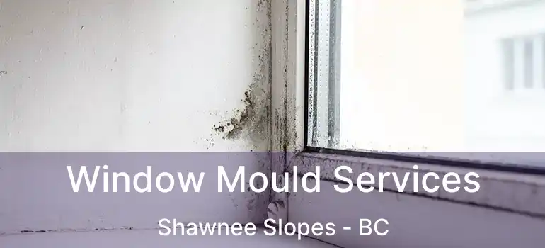  Window Mould Services Shawnee Slopes - BC