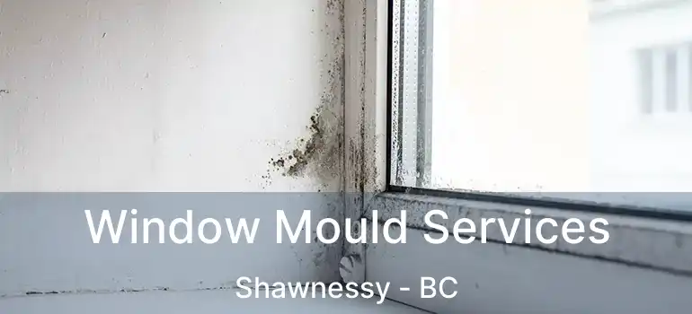  Window Mould Services Shawnessy - BC