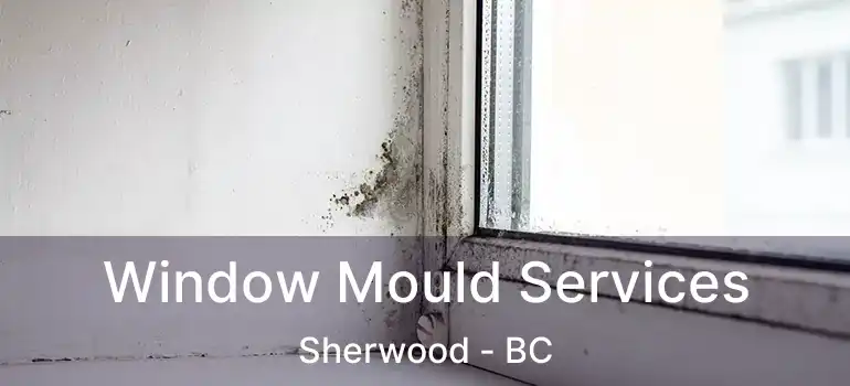  Window Mould Services Sherwood - BC