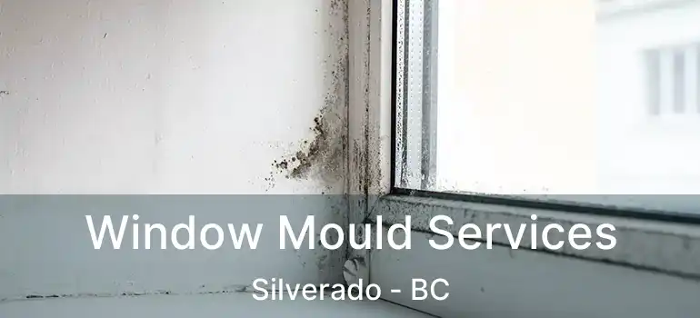  Window Mould Services Silverado - BC