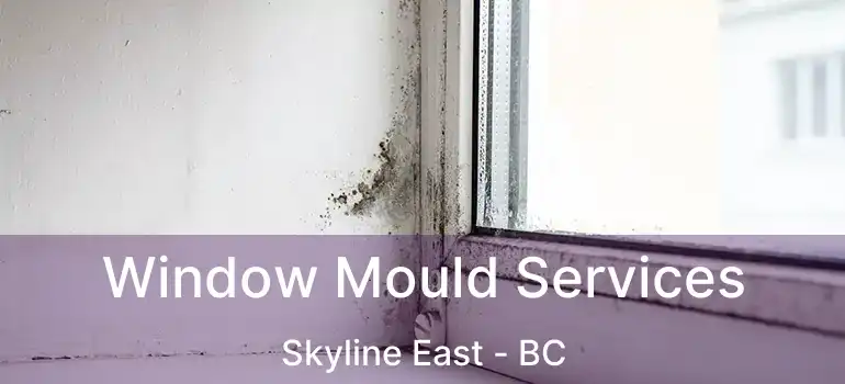  Window Mould Services Skyline East - BC