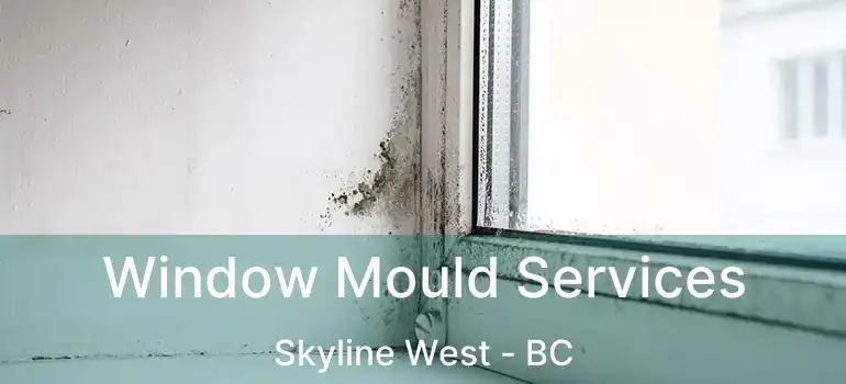  Window Mould Services Skyline West - BC