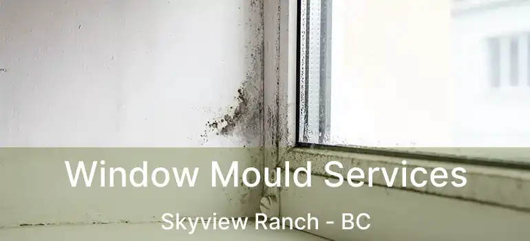  Window Mould Services Skyview Ranch - BC