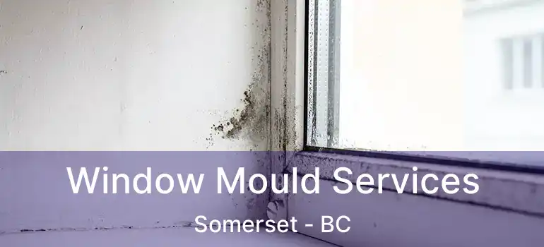 Window Mould Services Somerset - BC