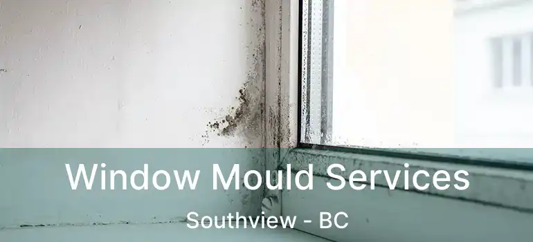  Window Mould Services Southview - BC