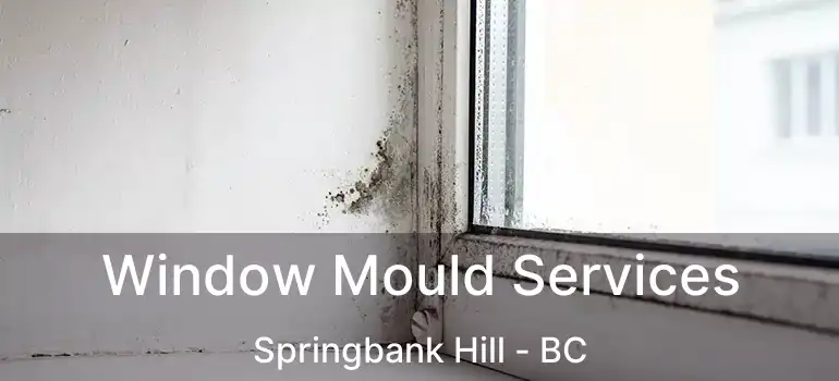  Window Mould Services Springbank Hill - BC