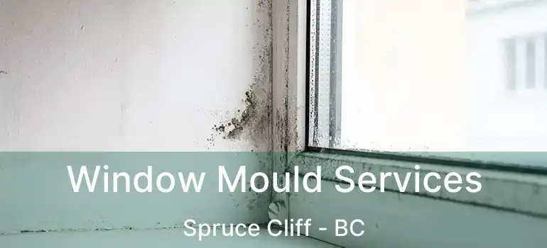  Window Mould Services Spruce Cliff - BC