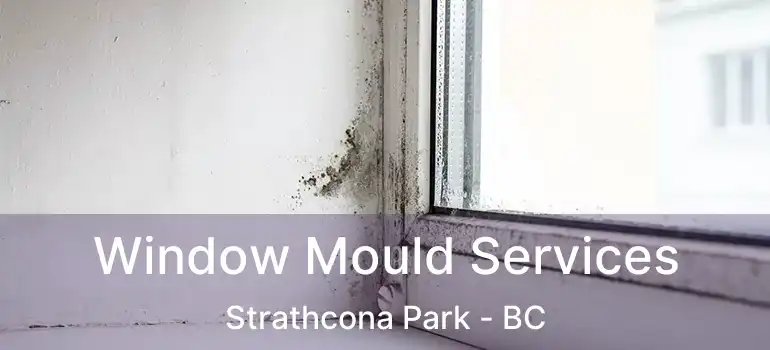  Window Mould Services Strathcona Park - BC